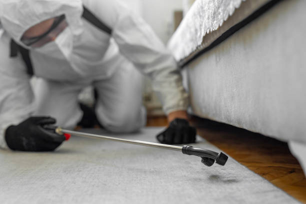 Professional Termite Control technician working in Garfield, TX