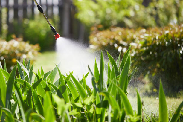 24/7 Emergency Termite Control experts in Garfield, TX