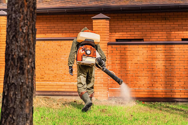 Top rated local Termite Control specialists in Garfield, TX